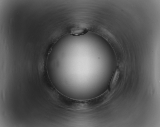 X0000089940552200706290817