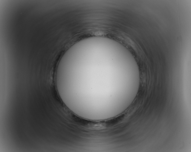 X0000089940553200706290817