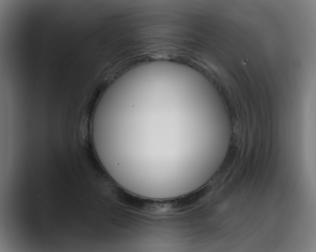 X0000089940554200706290817