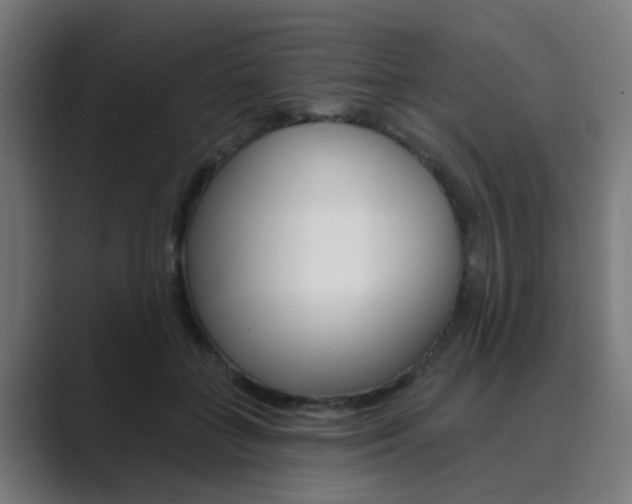 X0000089940555200706290817