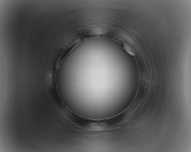 X0000089940556200706290817