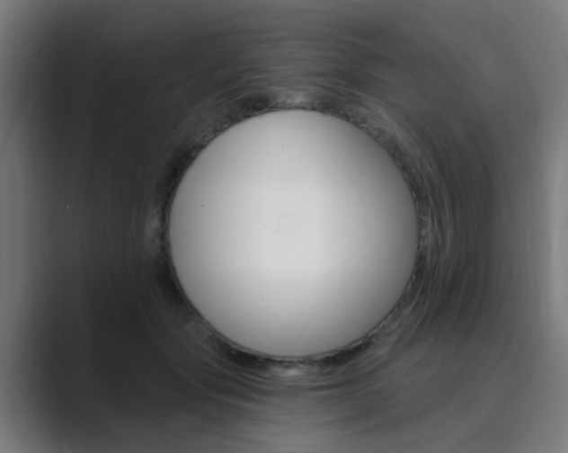 X0000089940557200706290817