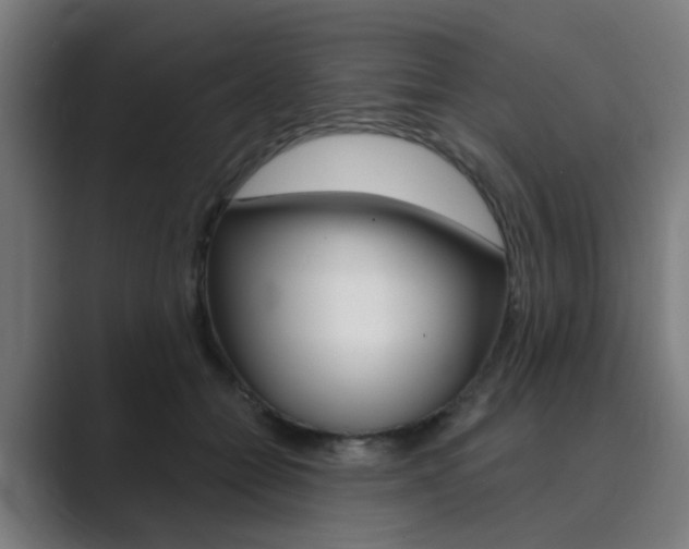 X0000089940558200706290817