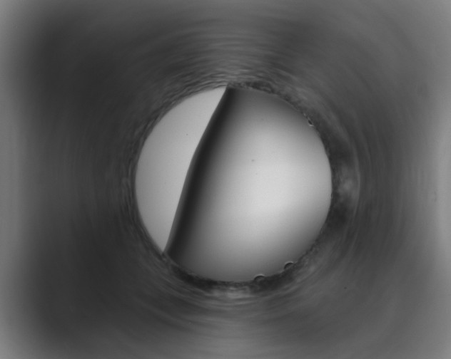 X0000089940559200706290818