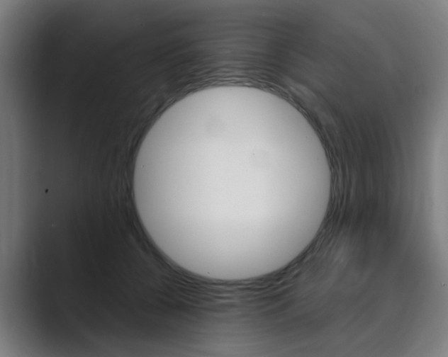 X0000089940560200706290818