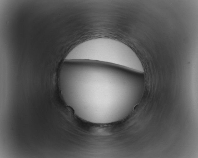 X0000089940563200706290818