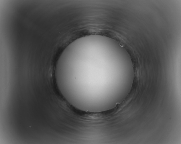 X0000089940567200706290818