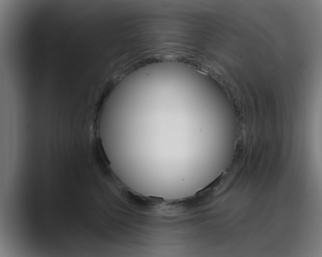 X0000089940568200706290818