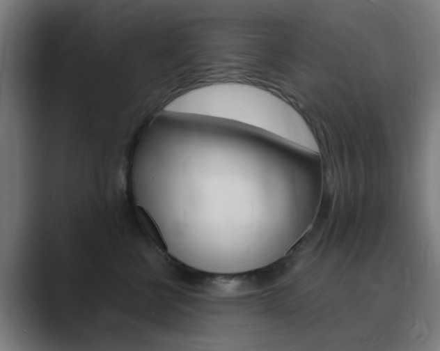 X0000089940570200706290818