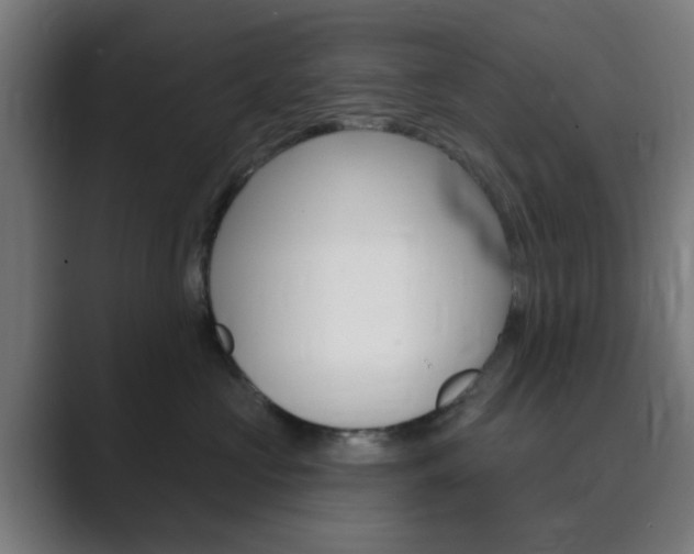 X0000089940573200706290818