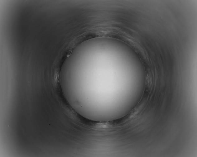 X0000089940574200706290818