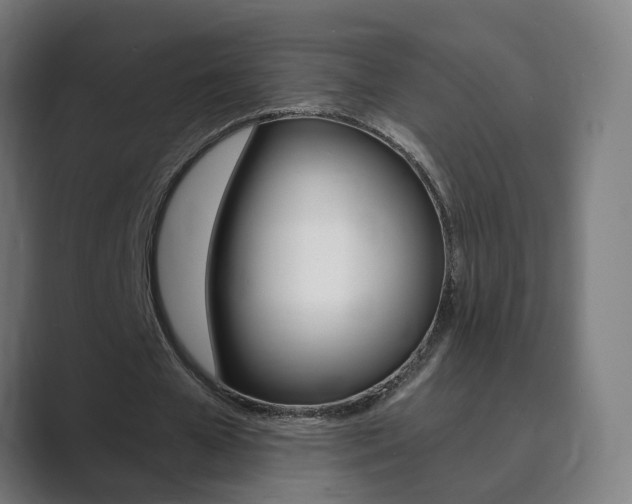 X0000089940577200706290817
