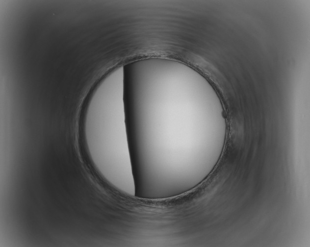 X0000089940578200706290817