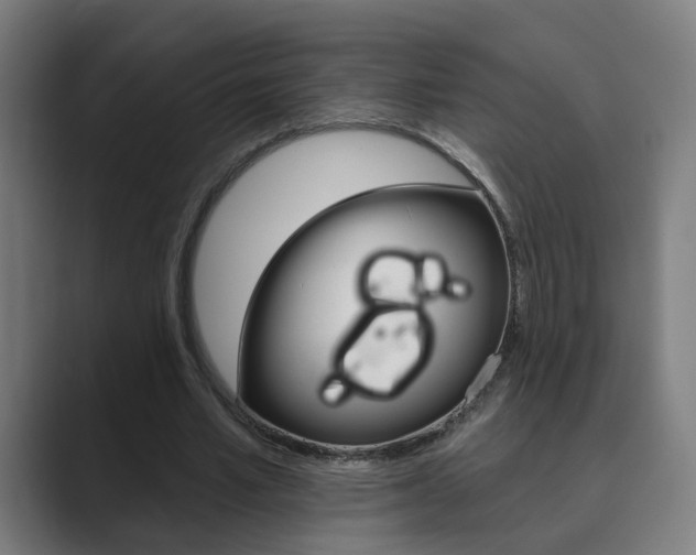 X0000089940581200706290817