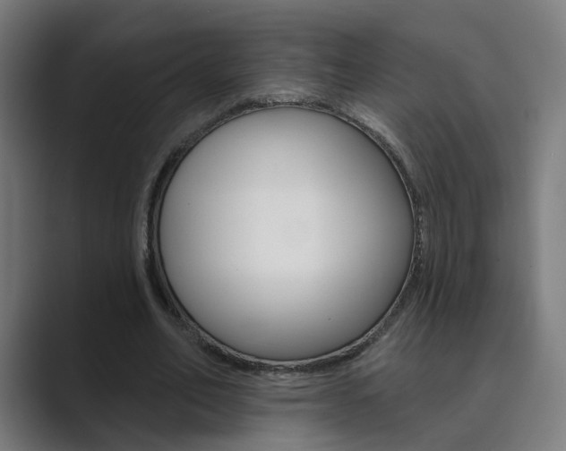 X0000089940582200706290817