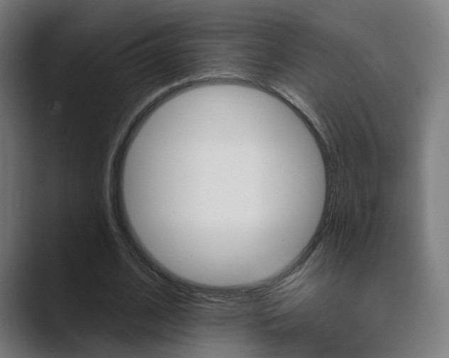 X0000089940584200706290817