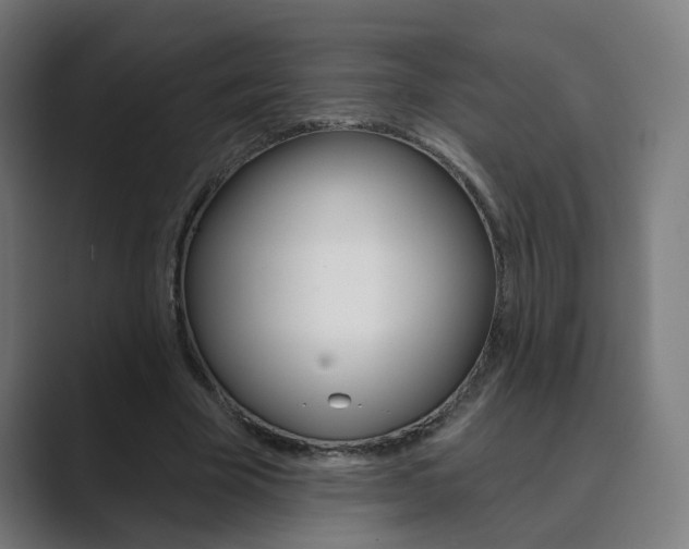 X0000089940585200706290817