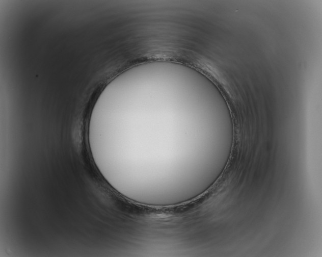 X0000089940586200706290817