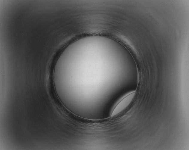 X0000089940588200706290817