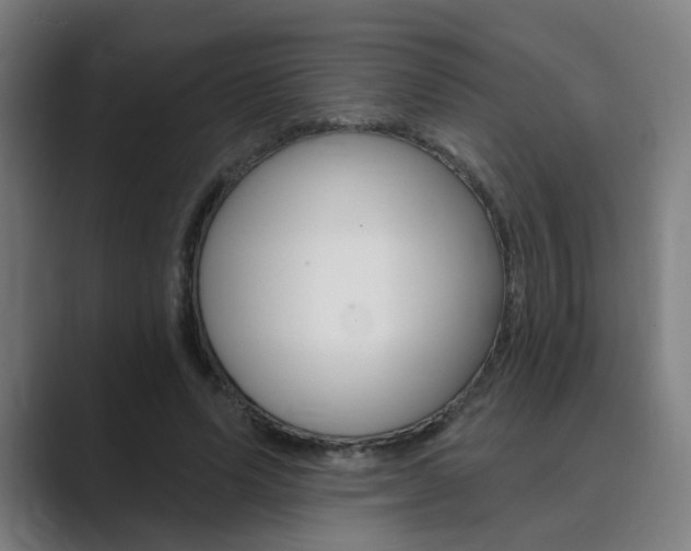 X0000089940591200706290817