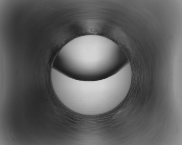 X0000089940595200706290817