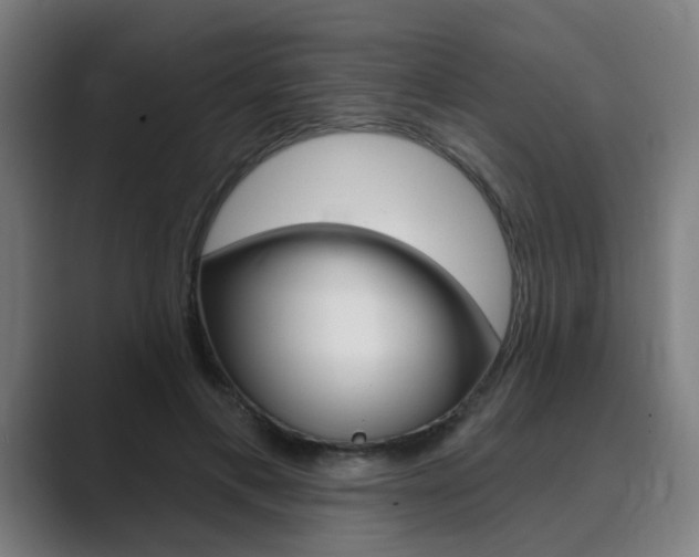 X0000089940597200706290817