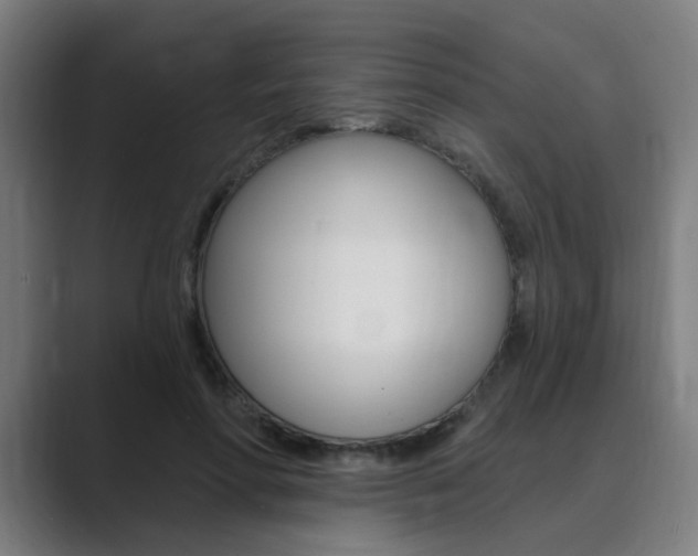 X0000089940598200706290817