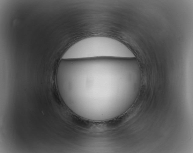 X0000089940599200706290817
