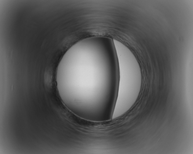 X0000089940600200706290817
