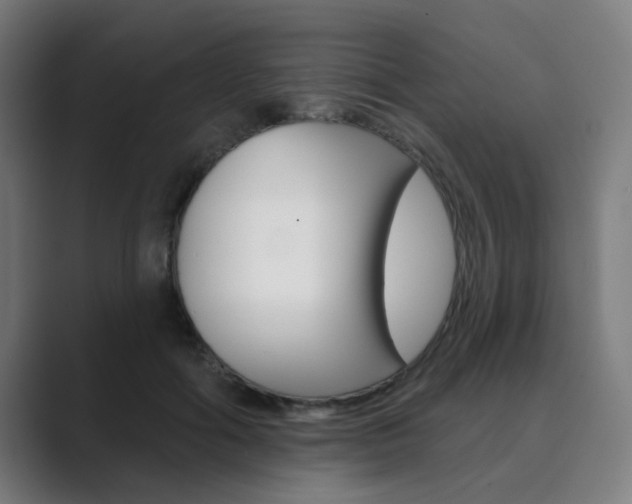 X0000089940602200706290817