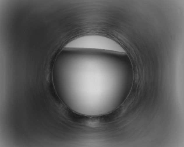 X0000089940604200706290817