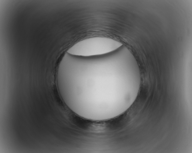 X0000089940606200706290817
