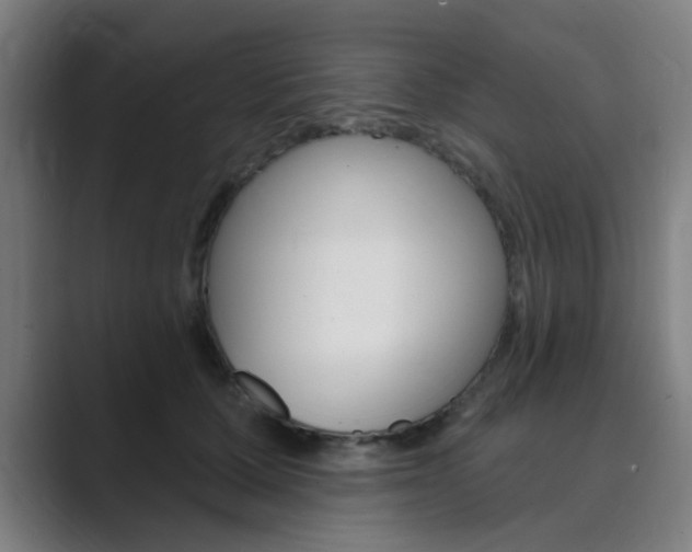 X0000089940607200706290817
