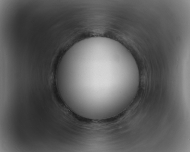 X0000089940608200706290817