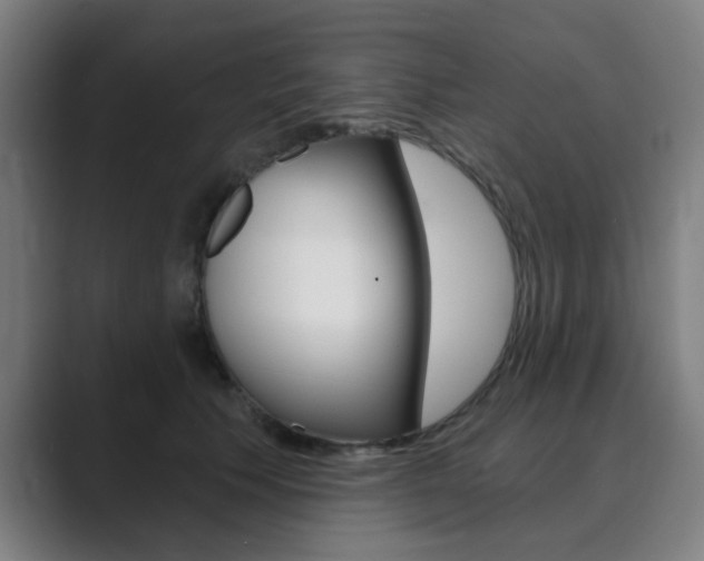 X0000089940609200706290817