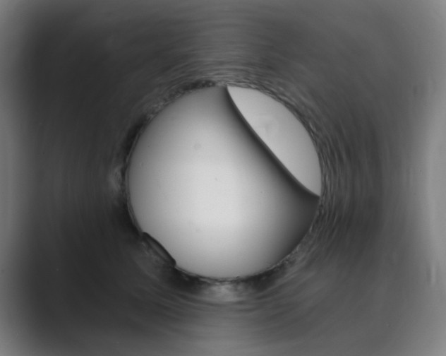 X0000089940611200706290817
