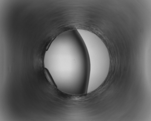 X0000089940613200706290817