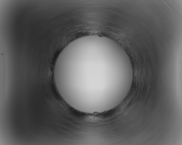X0000089940614200706290817