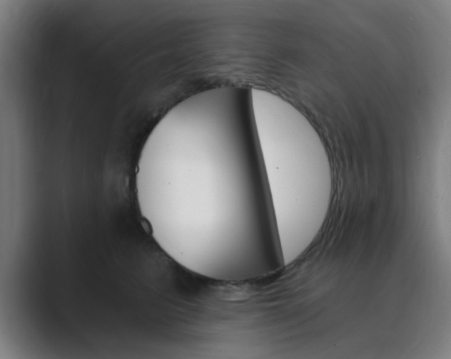 X0000089940615200706290817