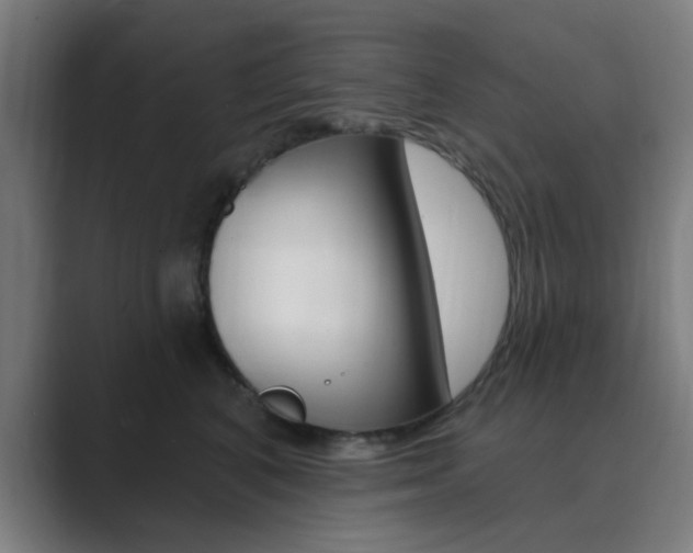 X0000089940616200706290817