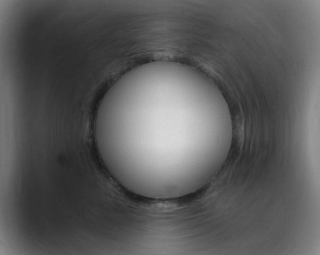 X0000089940619200706290817