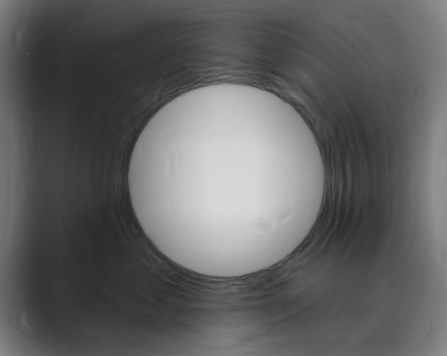 X0000089940621200706290817