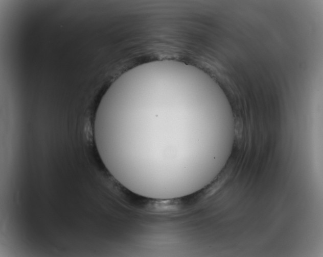 X0000089940622200706290817