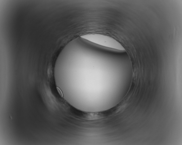 X0000089940623200706290817