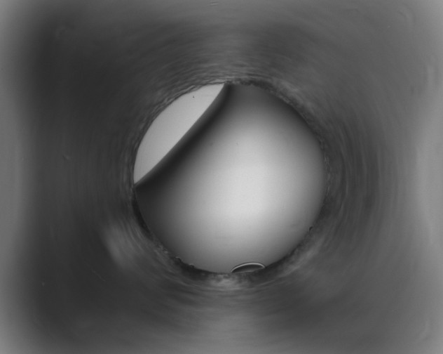 X0000089940624200706290816
