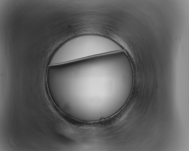 X0000089940625200706290816