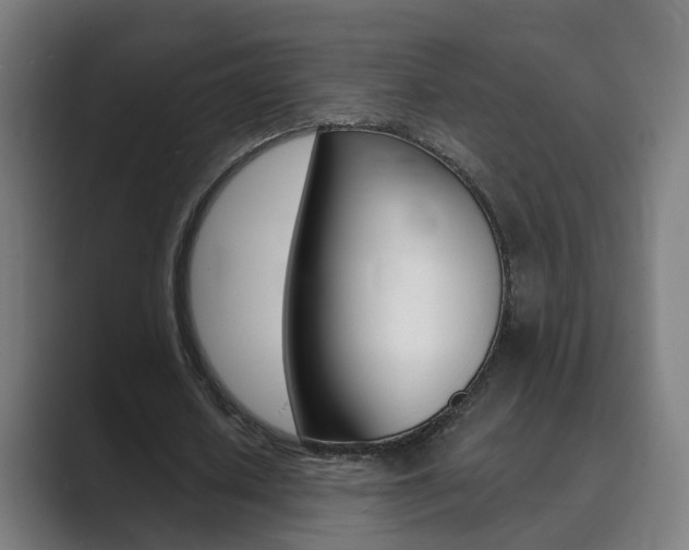 X0000089940626200706290816