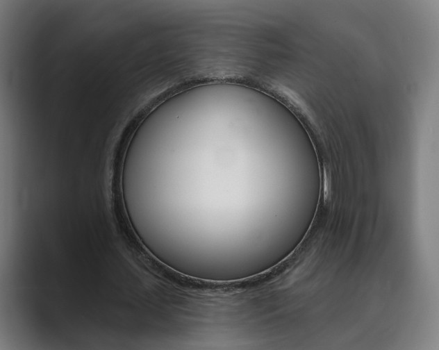 X0000089940627200706290816