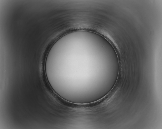 X0000089940629200706290816