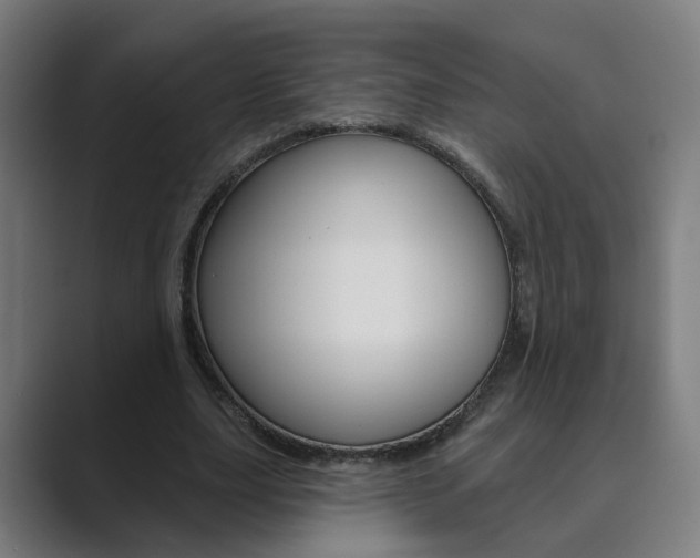 X0000089940631200706290816